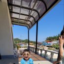 하비함미 이미지