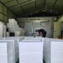 석성농장 이미지