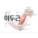 센스짐24 이미지