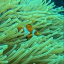 139.스파월드앞_3 | 260125 3박 5일 세부 여행 4일차 #스마트한샵 #빡스로컬다이빙 #스파월드