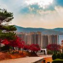 판교로50번길 이미지