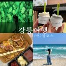 5월 강릉 여행 1박2일(스카이베이 인피니티풀, 동화가든, 아르떼뮤지엄, 툇마루, 갤러리밥스, 중앙시장...