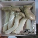 기능성머쉬 이미지