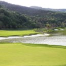 송백로-3 이미지