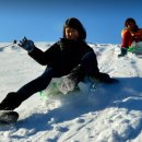 전나무목장 이미지