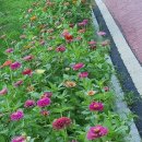 용비쉼터 이미지