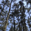 춘장대나드리캠핑장 이미지