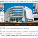 안전지대