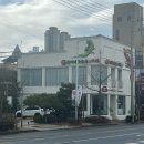 건이네 파충류 이미지