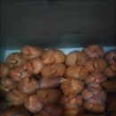 영부농장 이미지