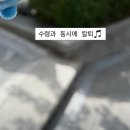 복수짜글이 | [9월 3주차] 빠숑?빠숑? 뿌슝빠슝뽀숑