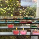 건강관리&단전호흡(수시접수) | [출산 후기] 경산 &#39;유도 분만&#39;, 38주 6일, 1박 2일, 진진통 2시간 만에 성공! (산본제일병원, 진형수부...