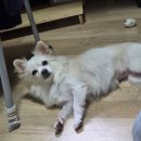 화멍화멍 이미지