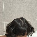이마트24아산탕정호산점 | 롯데월드 | 아기랑 롯데월드 꿀팁 | 파주 놀이구름 내돈내산 후기 | 소금도화 오픈런 | 다시 헬스 시작