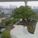 새라 이미지