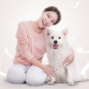 피씨에이치 이미지