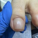 뷰티푸스켓츠 이미지