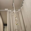 아이오라여성의원 이미지