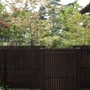 무이림3 이미지