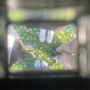 밭디이색자전거