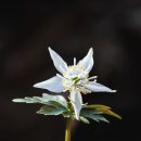 꼬리말(댓글)을 남기면 좋은 이유 이미지