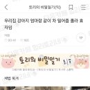 우리집강아지 이미지