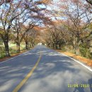 윤가네 농장 이미지