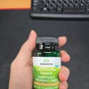 주식회사 웰통 | 제품 리뷰: 프로바이오틱스유산균 락토바실러스 가세리 30억 솔직후기