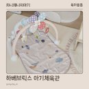 대도체육관 | 아기체육관 하베브릭스 4개월 아기 발달 장난감