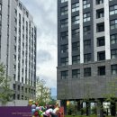 도미니클라바 이미지