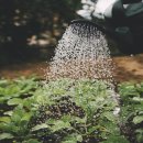 올데이올가닉 이미지