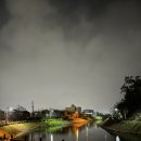 목포의 눈물 노래비 | 목포 난영공원 🌸 삼학도공원 옆 숨겨진 벚꽃 튤립 명소
