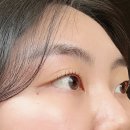 샵 다란 이미지