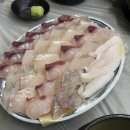 북구청 맛집 부산 앞바다 횟집 도톰한 회가 맛있던 오페라하우스 칠성동 맛집 후기