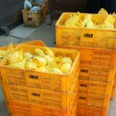 사암농장 이미지