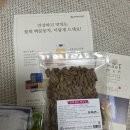 법인꽃뫼사람들 | 기관지에 좋은 맥문동 꽃차! 효능 & 후기
