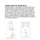 신여성에스테틱 이미지