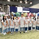 유) 라스베가스 이미지