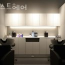 어니스트헤어 이미지