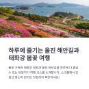 울진시장2 | 울진 해안길부터 태화강 봄꽃까지, 하루에 즐기는 당일치기 여행