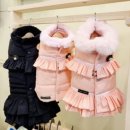 안젤라펫 이미지