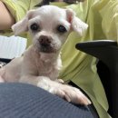 부흥마트 이미지