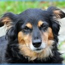 컴퓨터 프로그램 이미지