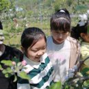 대강초등학교 이미지