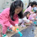 꽃동산어린이집 이미지