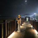 [강원도] 시간을 아주 알차게 쓴 즐거웠던 강원도 여행•̀ᴗ•̀