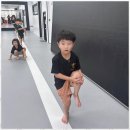 다정동_리치타워앞 | 다정동유아체육 아이의 성장과 즐거움을 동시에, TL태권도