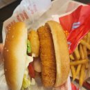 동탄중앙동물병원 이미지