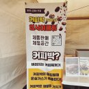[제주] 아이와 다양한 야외 체험할 수 있는 지구환경축제