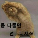 핑크팬더즈 이미지